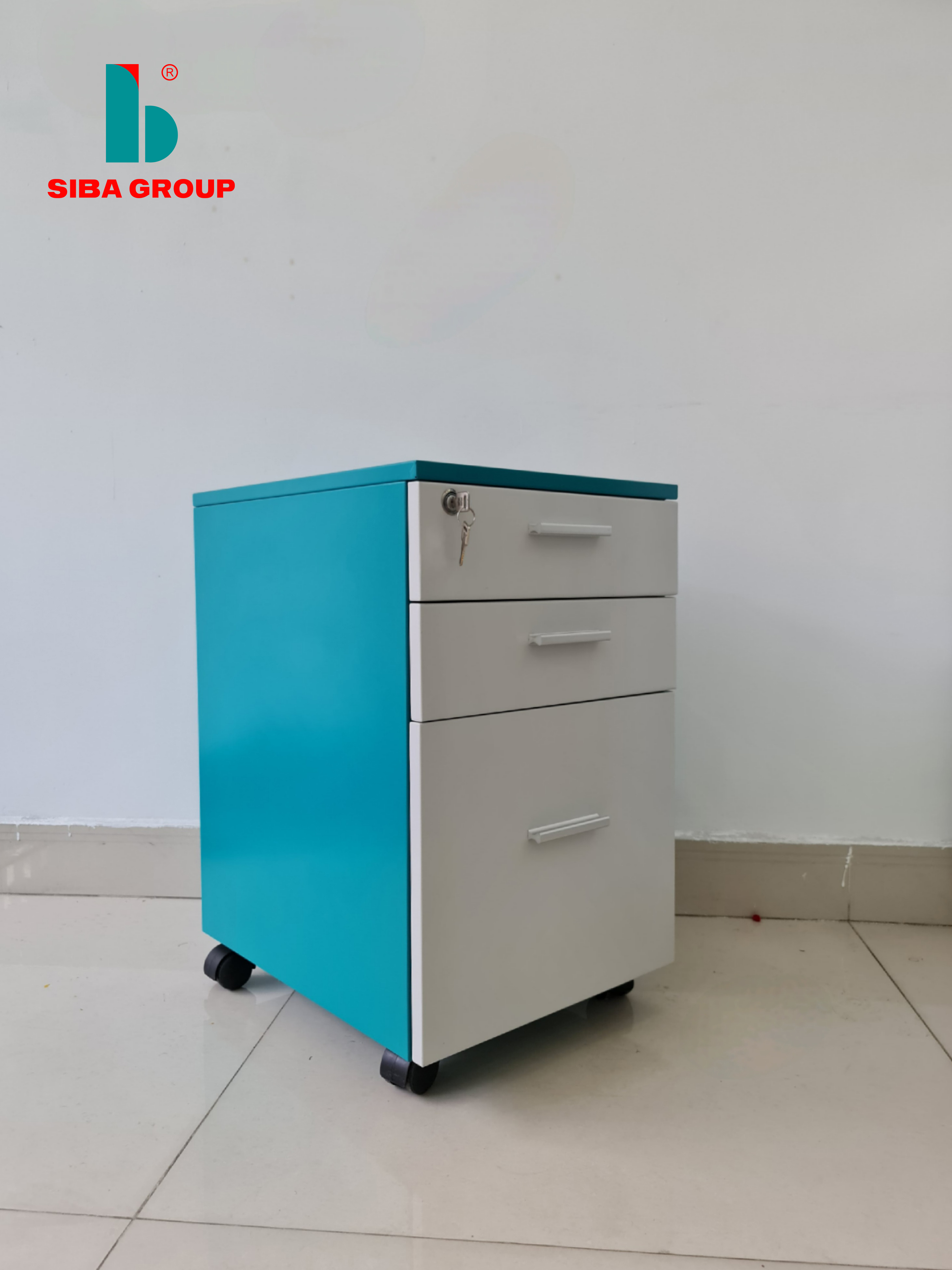 Viet Nam Supplier Factory High Quality Office Equipment Steel Storage Length: 670 Millimeter (Mm)
