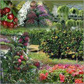 Horticulture Maintenance Services