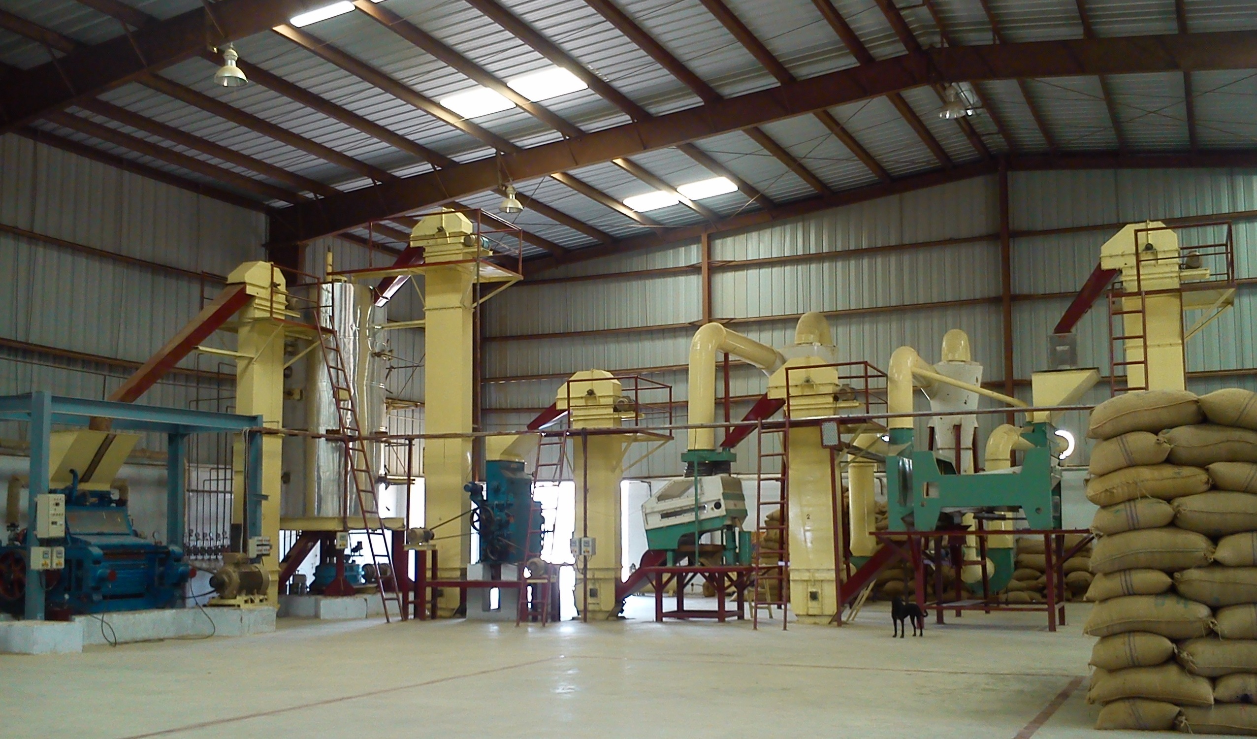 Oilseed Preparatory Plant - Stainless Steel, Advanced Cleaning And Cracking Process With Efficient Flaking And Drying Technologies
