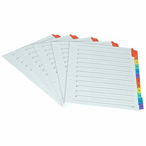 Binder Index Divider (1 To 12) - A4 Size - Multicolour Tabs Files Can Be Used For Multi-subject Purpose
