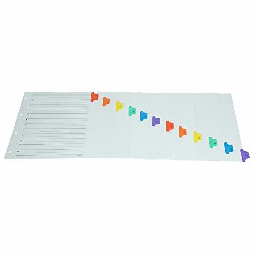 Binder Index Divider (1 To 12) - A4 Size - Multicolour Tabs Files Can Be Used For Multi-subject Purpose