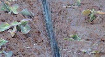 Rain Pipe