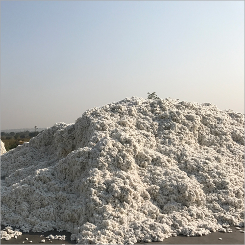 Organic Raw Cotton - Premium Quality Fibers, Hypoallergenic And Eco-friendly Properties