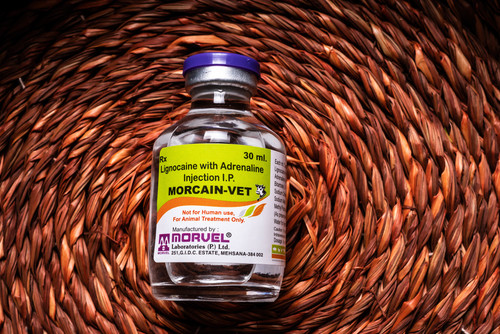 Lignocaine Hydrochloride & Adrenaline Bitrate Inj. Veterinary Injectables