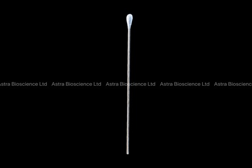 Swab With Cotton Head & Wooden Stick