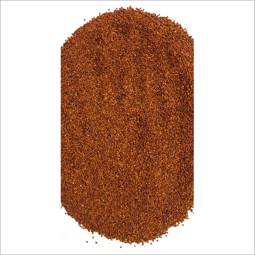 फिंगर मिललेट (रागी बीज)