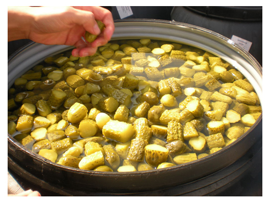 Gherkins, Cornichins , Cucumbers, Pepinillo, Preserving Compound: As Per Specs