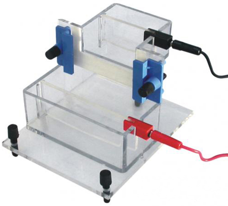 Gel Electrophoresis System - Transparent Polycarbonate, 99.9% Pure Platinum Electrode | Leak Proof, Easy Setup, Durable, Glass Plates & Combs Included