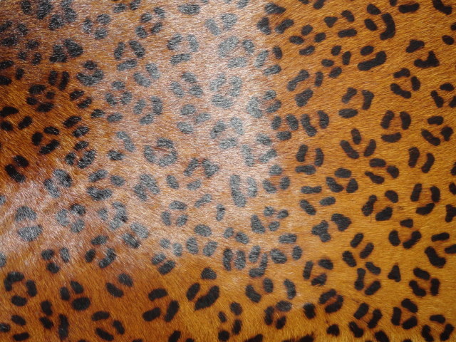 Brown & Black Leopard Print Leather