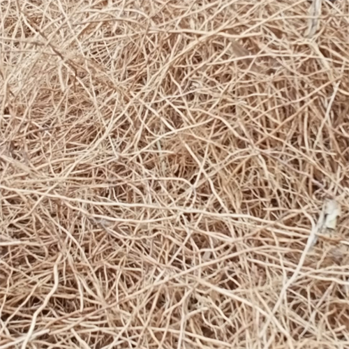 वेटिवर रूट्स