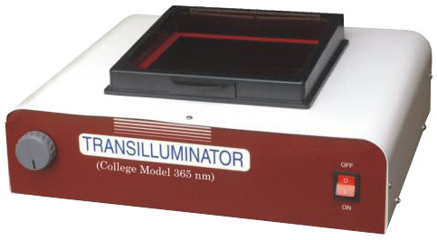 U.v. Transilluminator