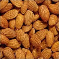 Almond Nut