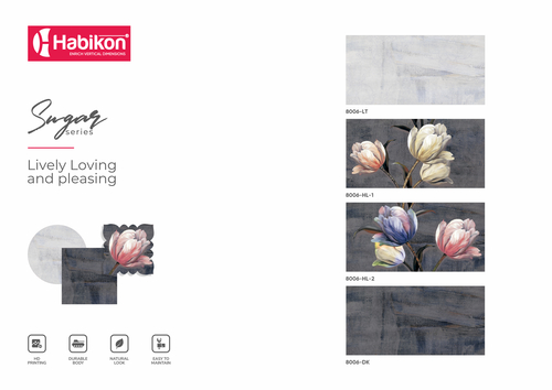 गोरे 12* 24 डिजिटल सजावटी दीवार टाइलें