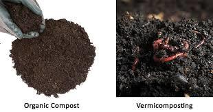 Vermicopost Fertilizer