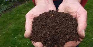 Vermicopost Fertilizer