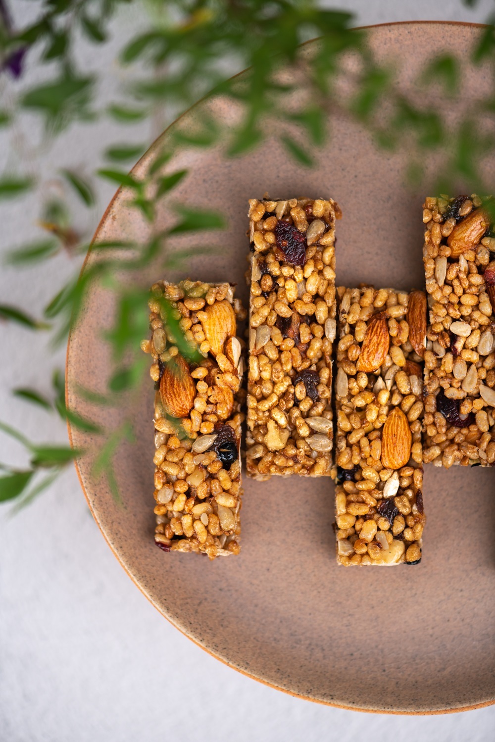 Master's Grain Syrup Nutrition Bar 15gx20