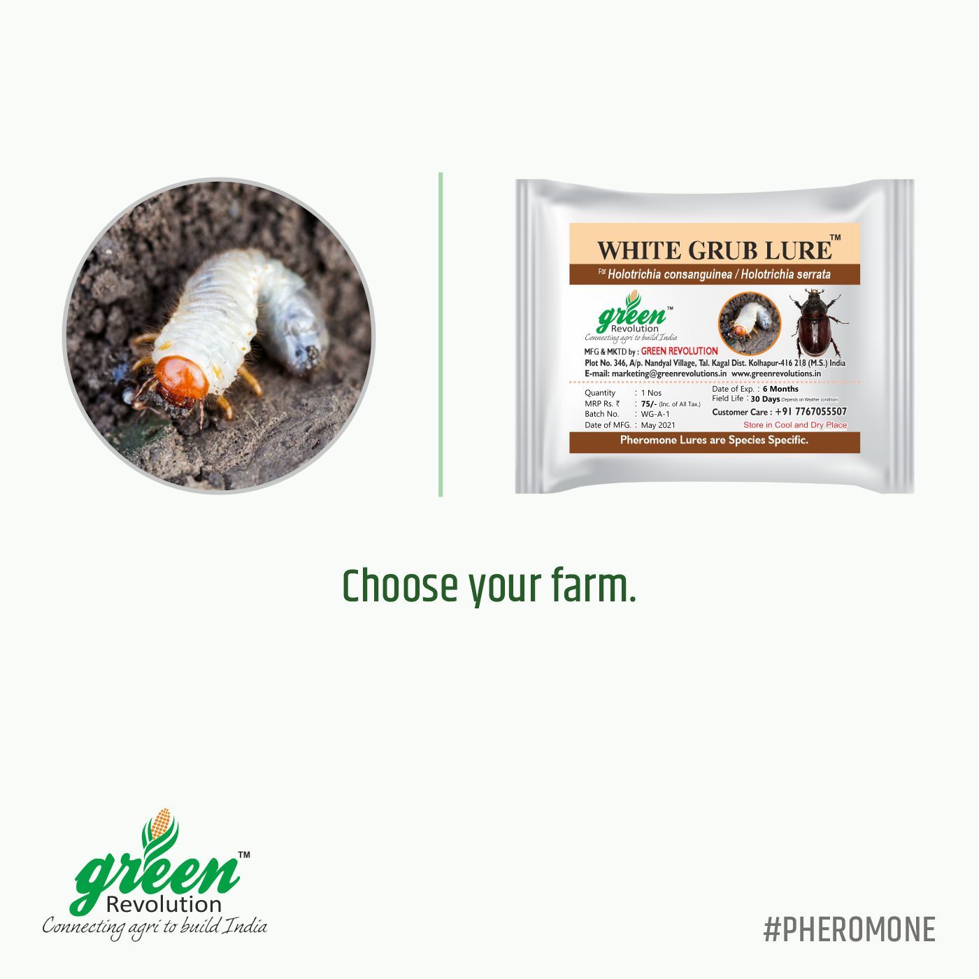 White Grub Lure Grade: Agricluture