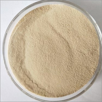 Amino Acid - High Purity Powder | Industrial Application, Room Temperature Storage