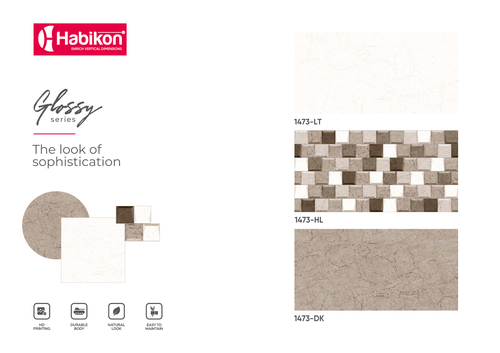 डिजिटल वॉल टाइल्स का आकार: 300* 600 मिमी