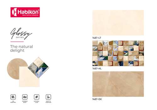 डिजाइनर ग्लॉसी वॉल टाइल्स का आकार: 300* 600 मिमी