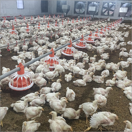 Poultry Watering System - Color: Gray