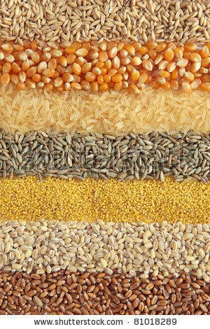 Cereals Products Testing Services