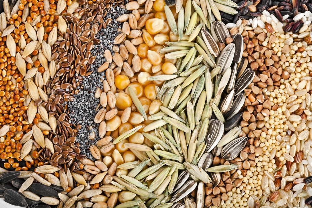 Cereals Products Testing Services
