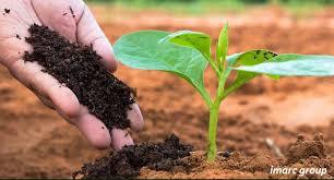 Fertilzer Testing Analysis Laboratory Services