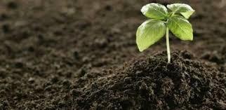 Fertilzer Testing Analysis Laboratory Services