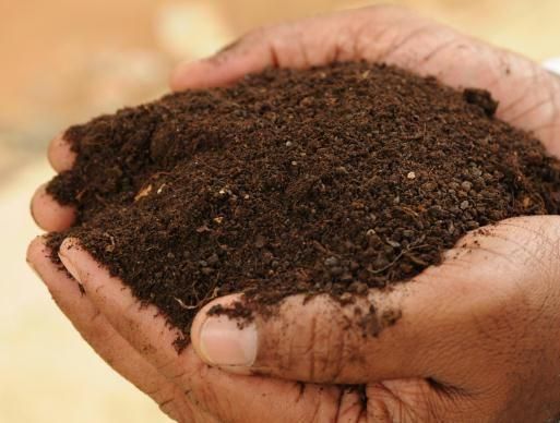Fertilzer Testing Analysis Laboratory Services