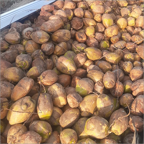Tender Coconut - Organic Whole Fruit | Fresh Natural Delight