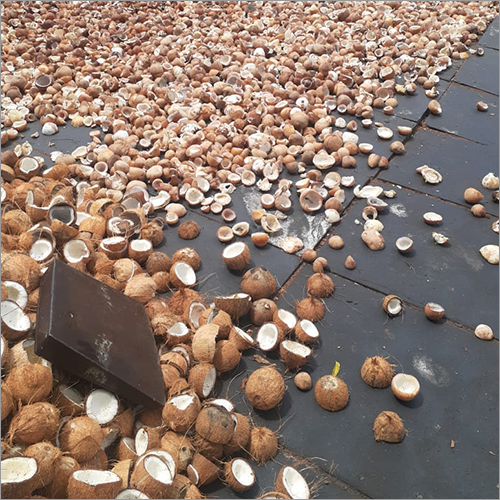 Organic Natural Coconut