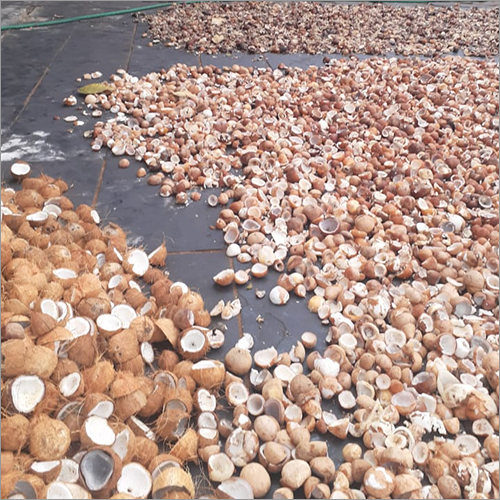 Organic Natural Coconut