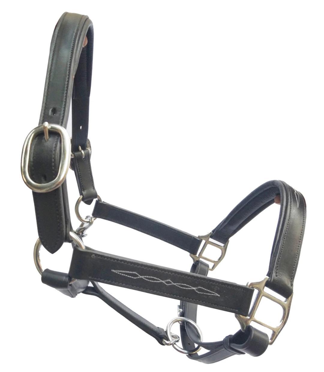 All Color Available Leather Halter