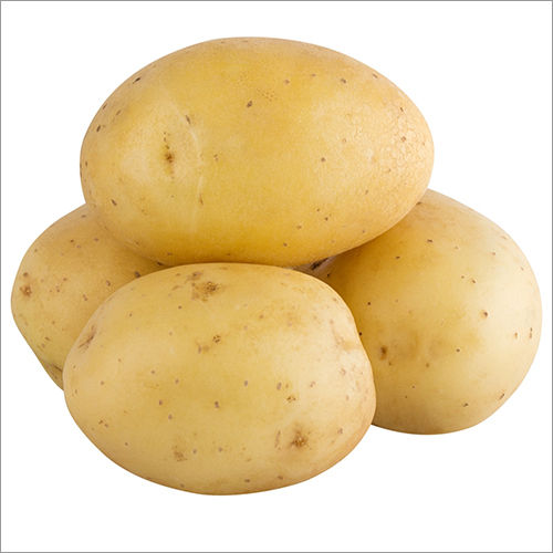 Round Fresh Potato