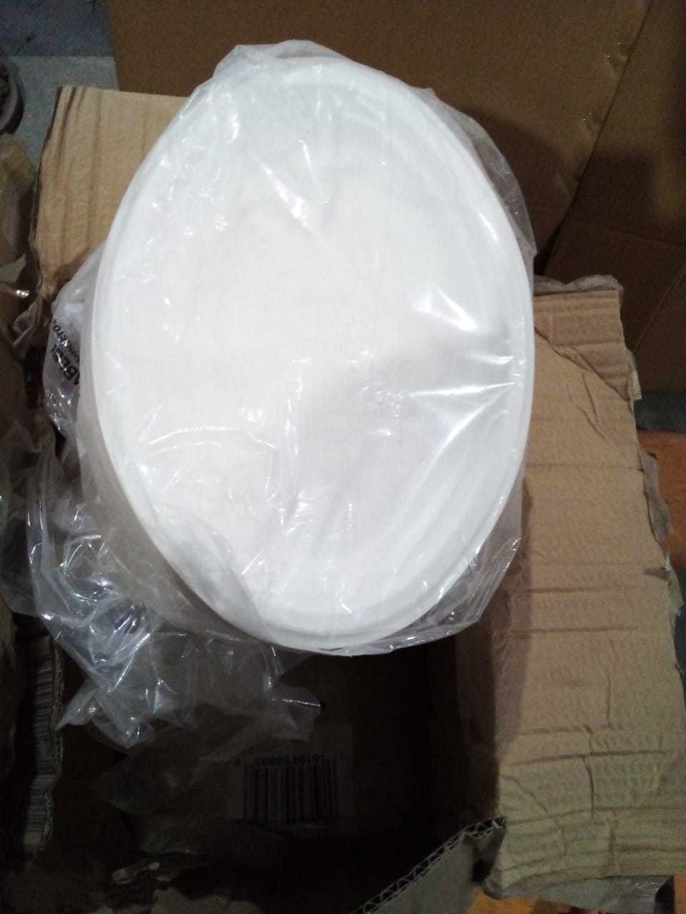 White Disposable Plate