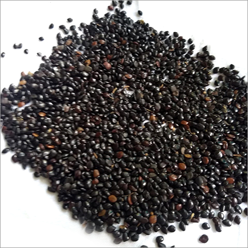 चास्को सीड