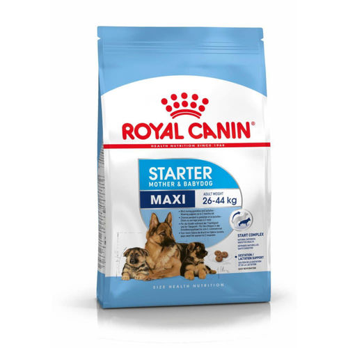 Royal Canin Maxi Starter Mother & Baby Dog Food - 15 kg & 4 kg Sizes, Grain-Free, High Protein & Low Fat Formula, Supports Optimal Digestion & Natural Defenses