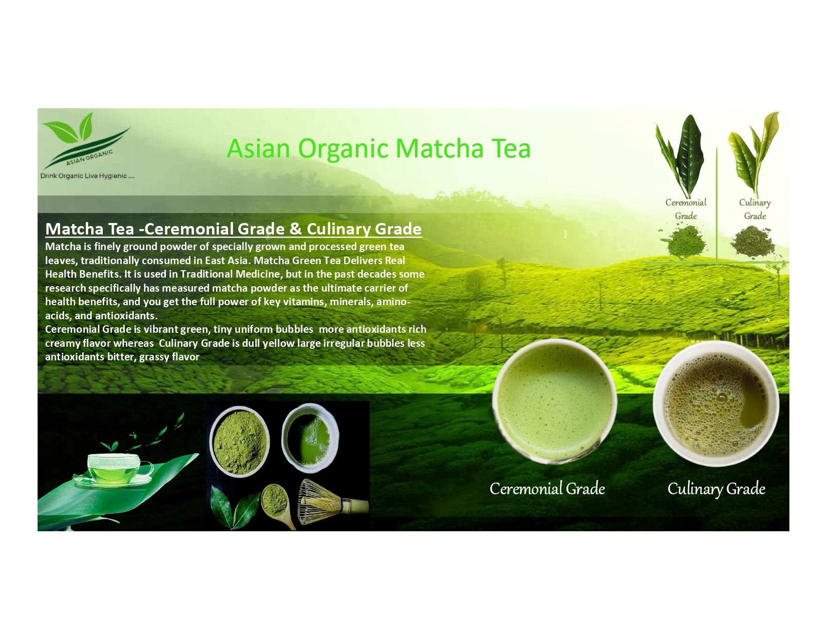 Green Organic Macha Tea