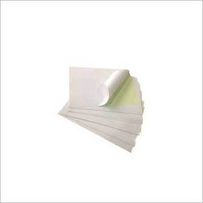 Pe Coated Sheet - Color: White