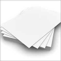 Pe Coated Sheet - Color: White