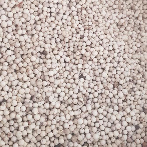 सफ़ेद मिर्च