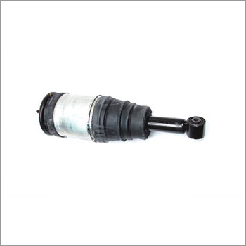 Rear Spring And Strut