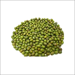 Green Moong Dal - Whole Mung Beans, Organic Cultivation, 99% Purity, Long Shelf Life Of 1-2 Years, Naturally Dried In A Dry Place