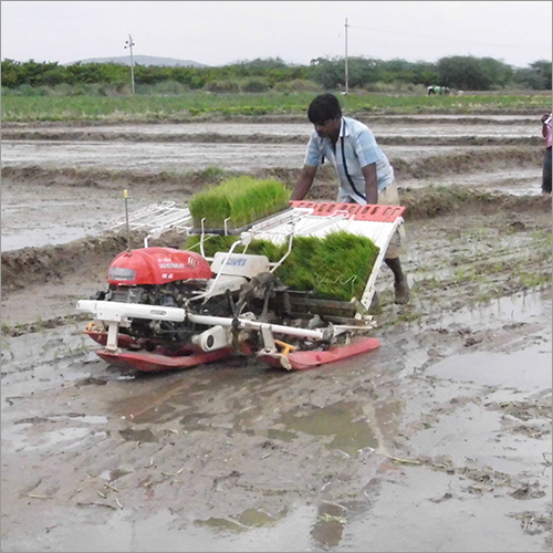 4 And 6 Rows Paddy Transplanter