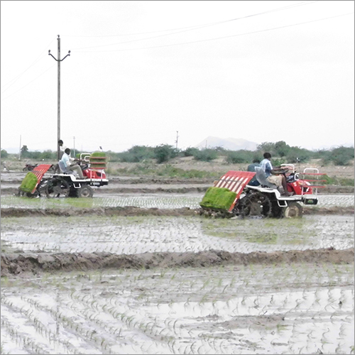 4 And 6 Rows Paddy Transplanter