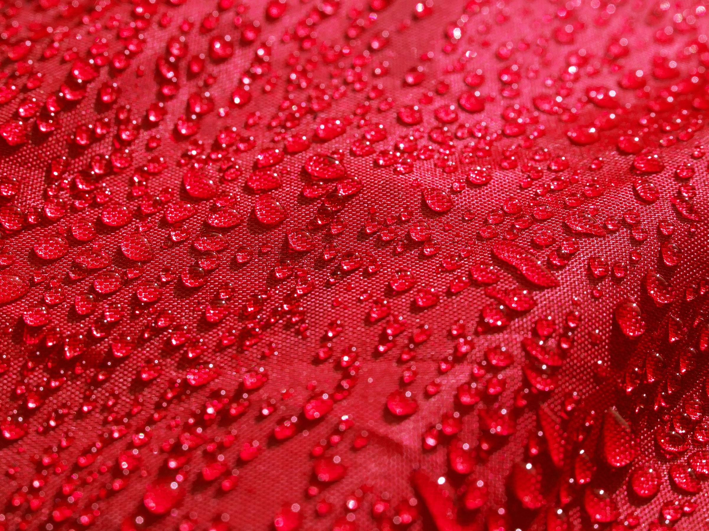 Waterproof Fabric - Color: As Per Buyer Requirement