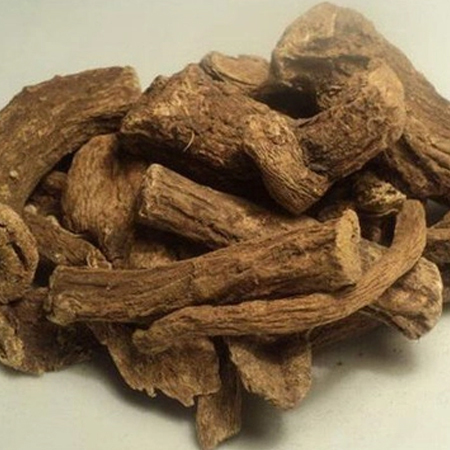 हर्बल मेडिसिन कोस्टस रूट