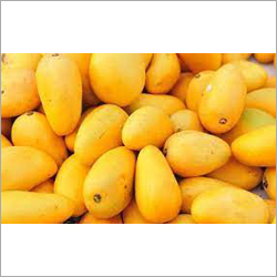 Fresh Mango - 6-8 Inches, Yellow Color , Firm Texture - Tropical Summer Delight