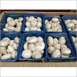 Fresh Mushroom - Medium Size, White Color | 1 kg Plastic Container, Local Origin, 7 Days Shelf Life
